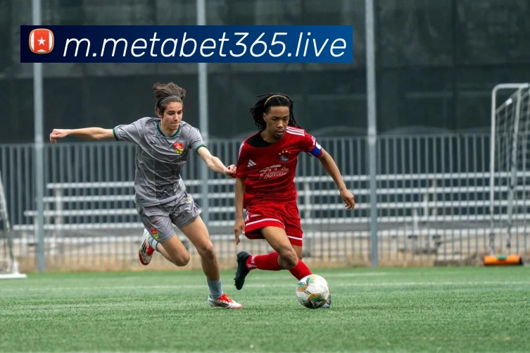 bet365中国官网服务体系